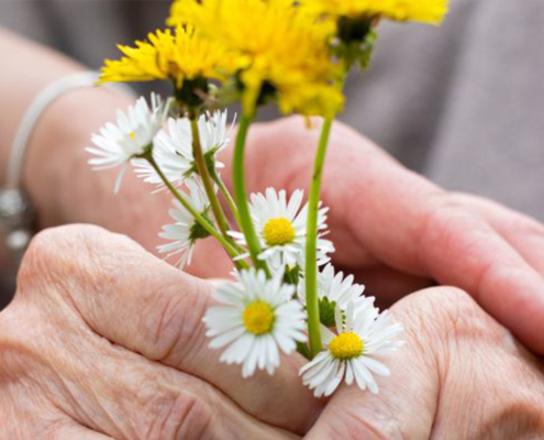 Pflegefachkraft (m/w/d) im BG Pflegeheim Sternberg gesucht